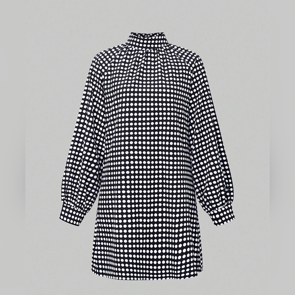 Polka Dot Print Lantern Sleeve Casual Dress - Picture 2 of 5